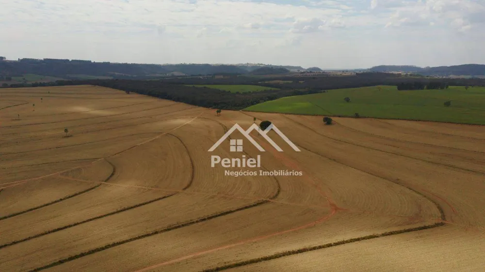 Fazenda, 456 hectares - Foto 6
