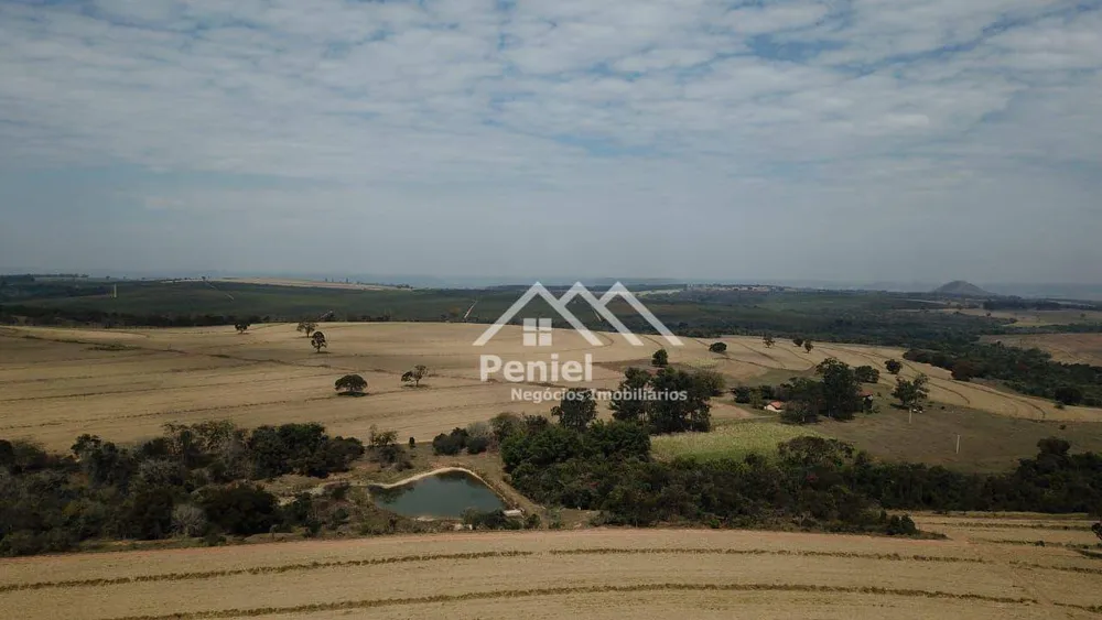 Fazenda, 456 hectares - Foto 7