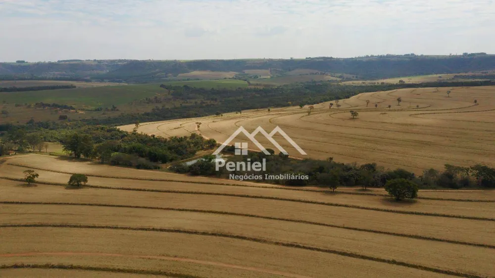 Fazenda, 456 hectares - Foto 3