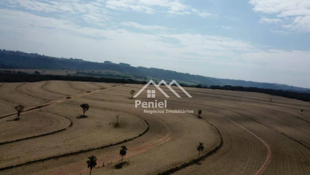 Fazenda, 456 hectares - Foto 4