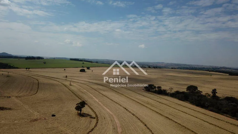 Fazenda, 456 hectares - Foto 10