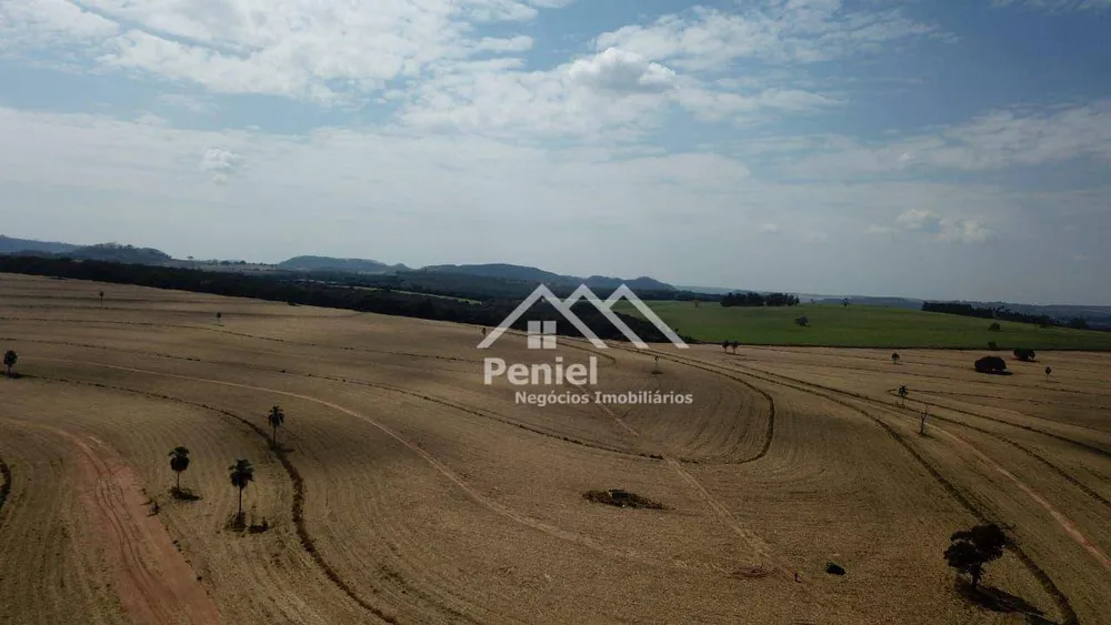 Fazenda, 456 hectares - Foto 7