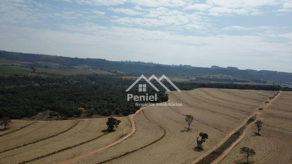 Fazenda, 456 hectares - Foto 8