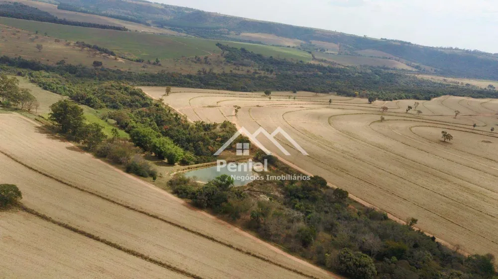 Fazenda, 456 hectares - Foto 1