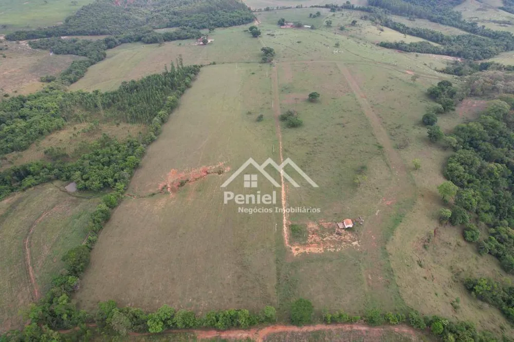 Sítio, 7 hectares - Foto 4
