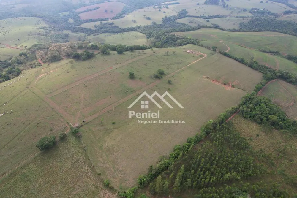 Sítio, 7 hectares - Foto 8