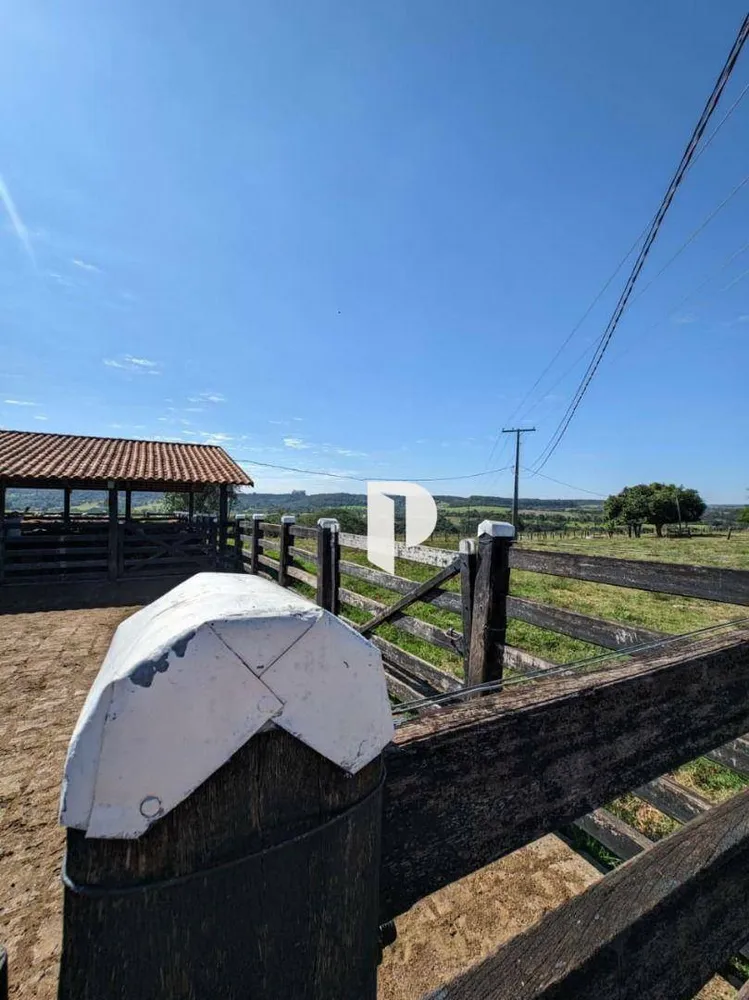 Fazenda, 510 hectares - Foto 11