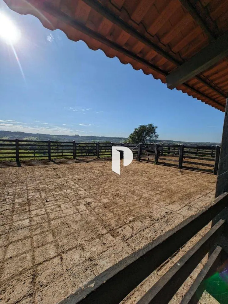 Fazenda, 510 hectares - Foto 7