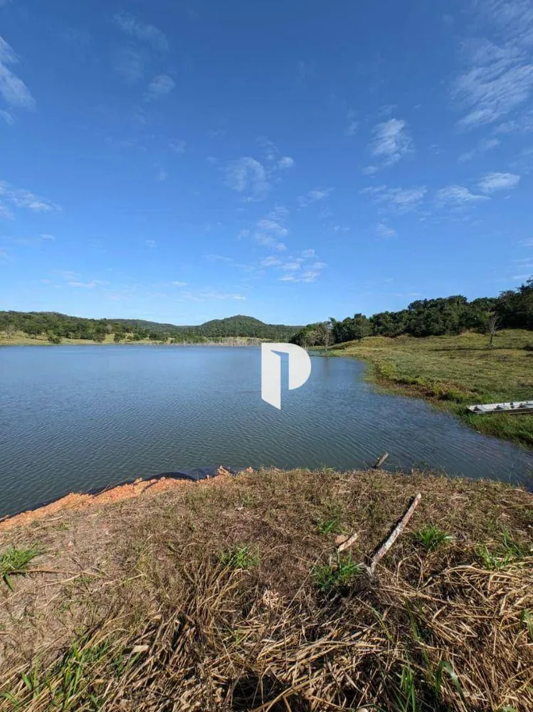 Fazenda, 510 hectares - Foto 6