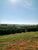 Fazenda, 1563 hectares - Foto 4