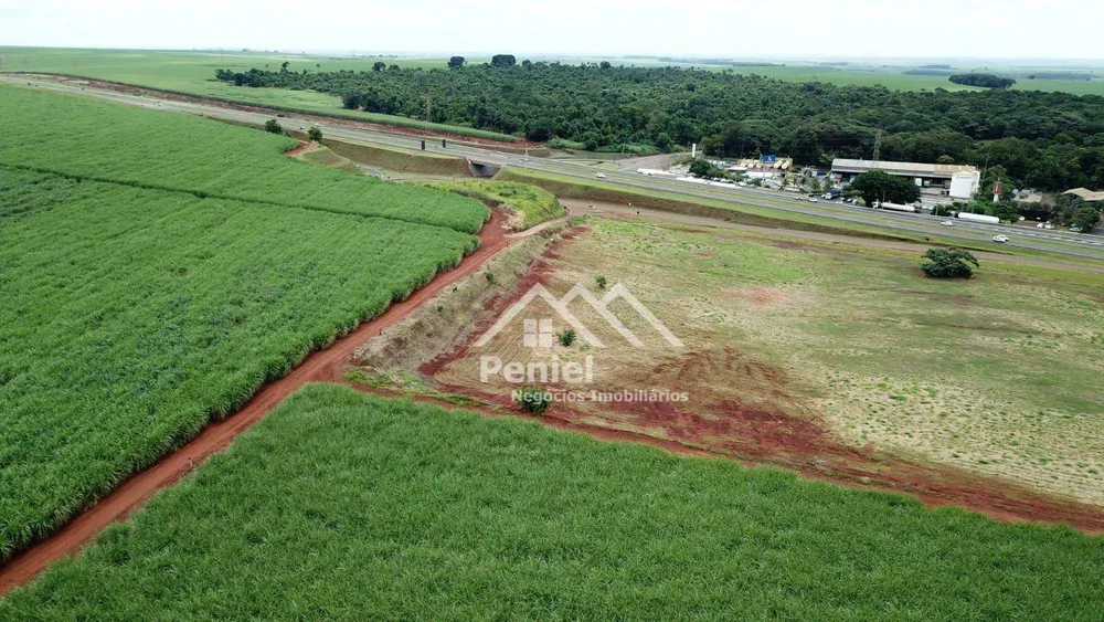 Terreno, 7 hectares - Foto 5