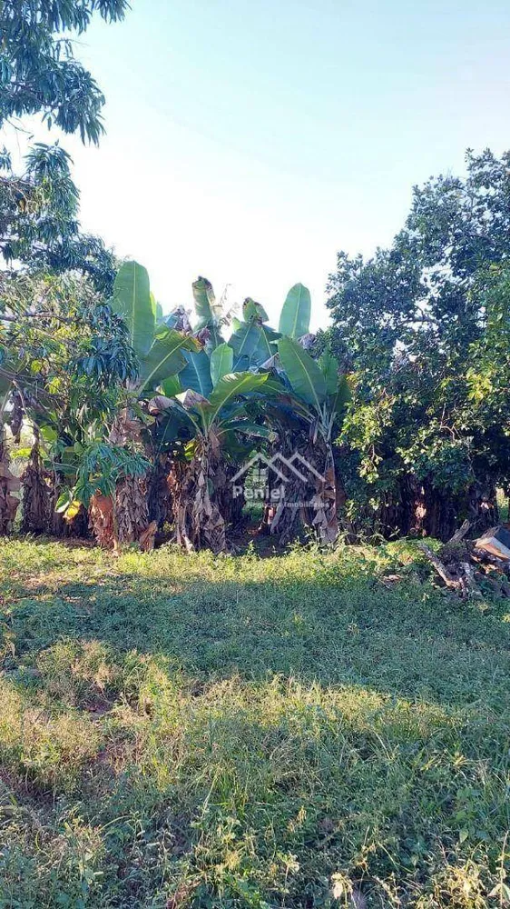 Fazenda, 222 hectares - Foto 2