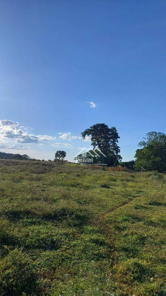 Fazenda, 222 hectares - Foto 9
