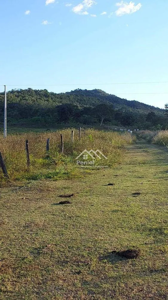 Fazenda, 222 hectares - Foto 4