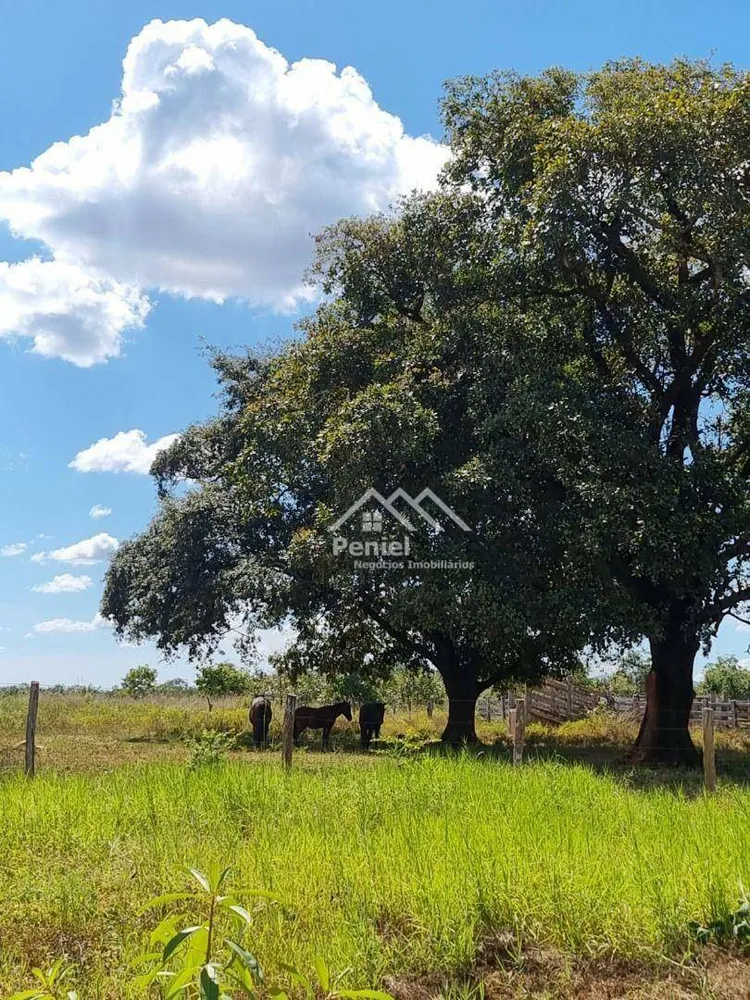 Fazenda, 222 hectares - Foto 8