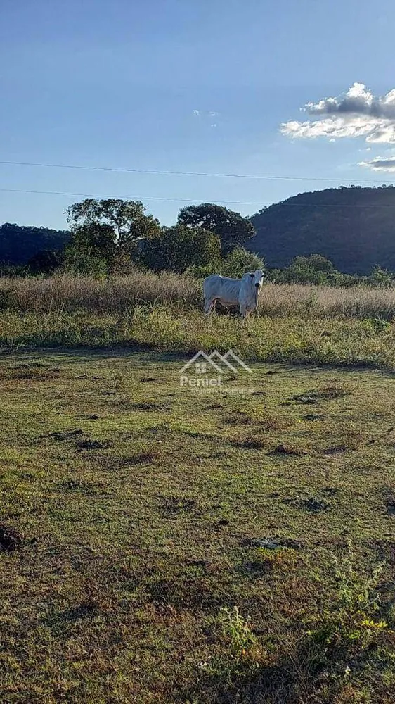 Fazenda, 222 hectares - Foto 1