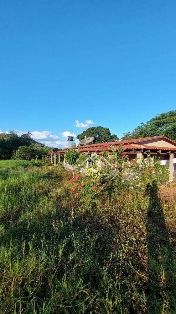 Fazenda, 222 hectares - Foto 7
