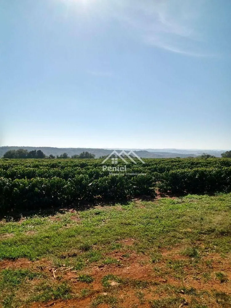 Fazenda, 1563 hectares - Foto 8
