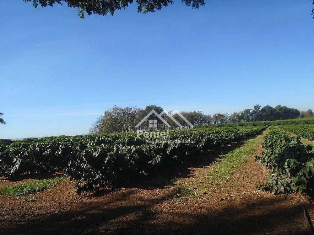 Fazenda, 1563 hectares - Foto 3