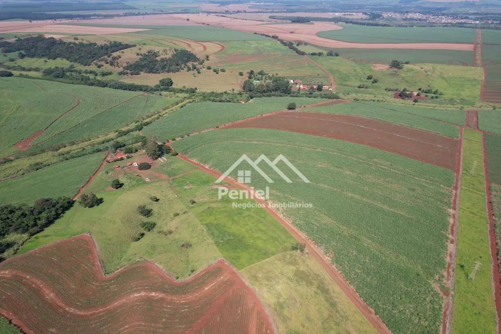 Fazenda, 213 hectares - Foto 2