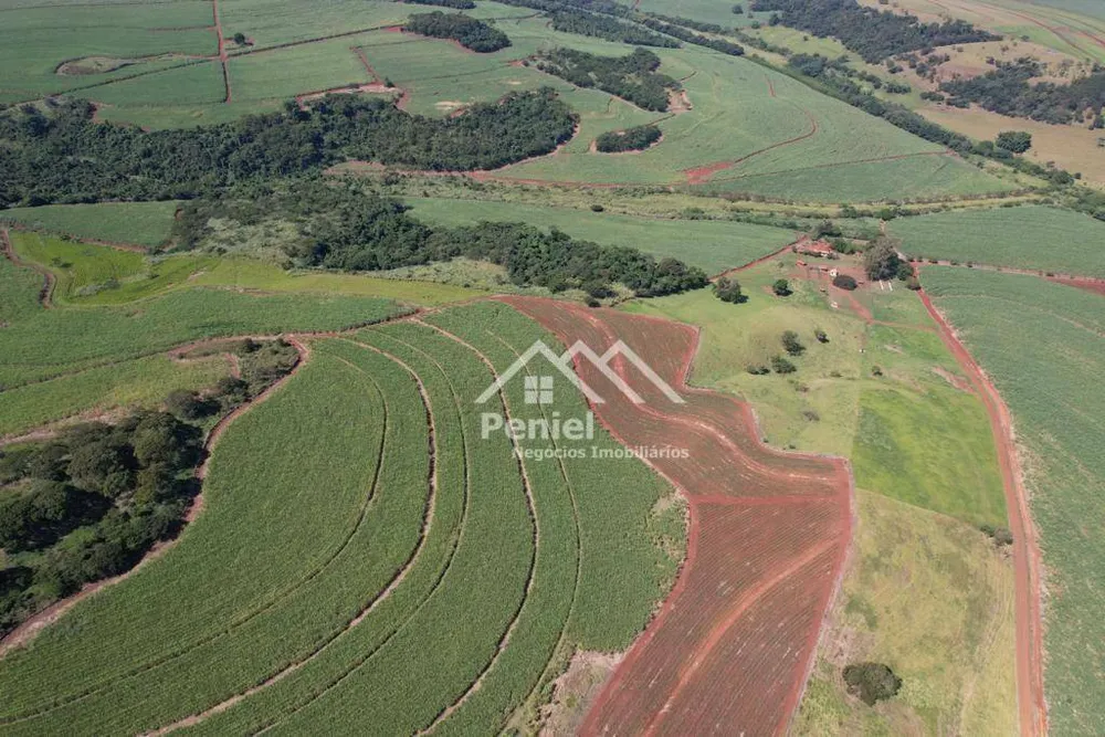 Fazenda, 213 hectares - Foto 8