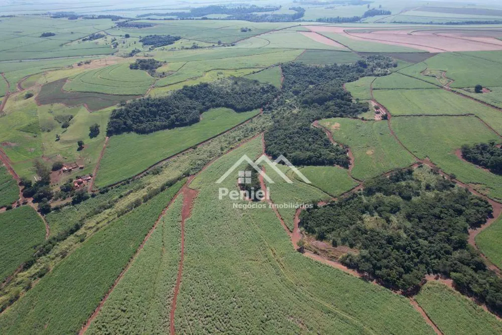 Fazenda, 213 hectares - Foto 3