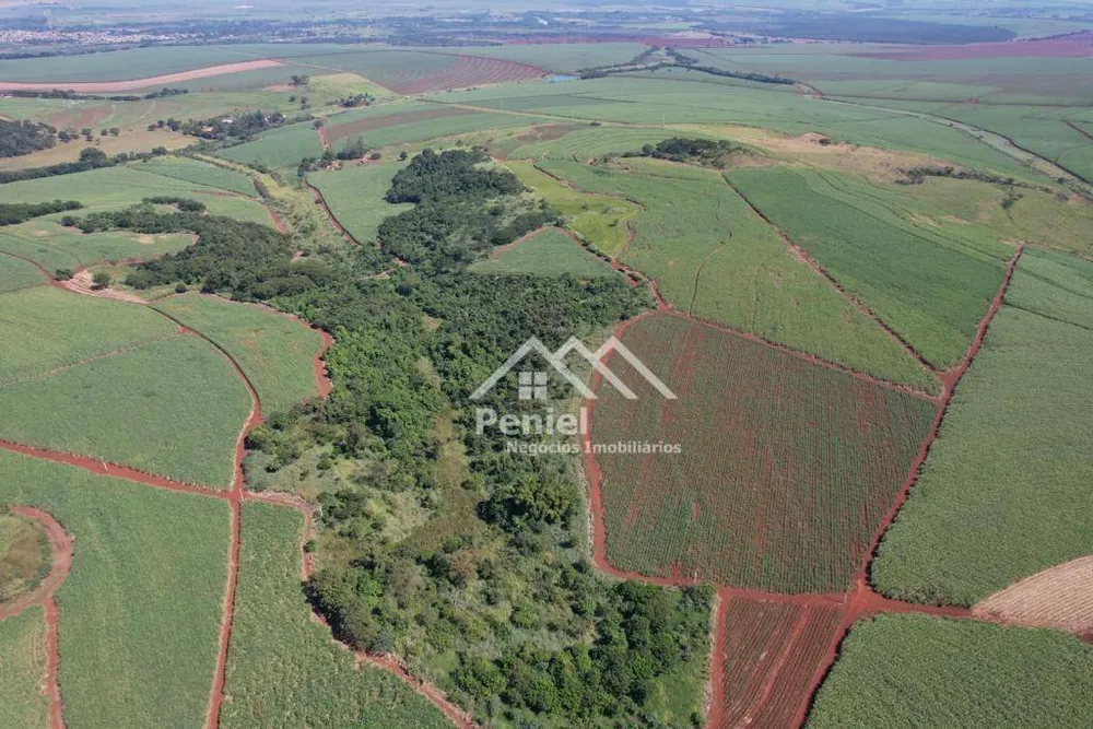 Fazenda, 213 hectares - Foto 4