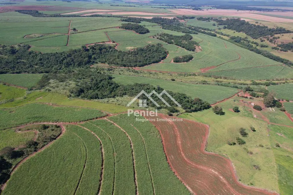 Fazenda, 213 hectares - Foto 2