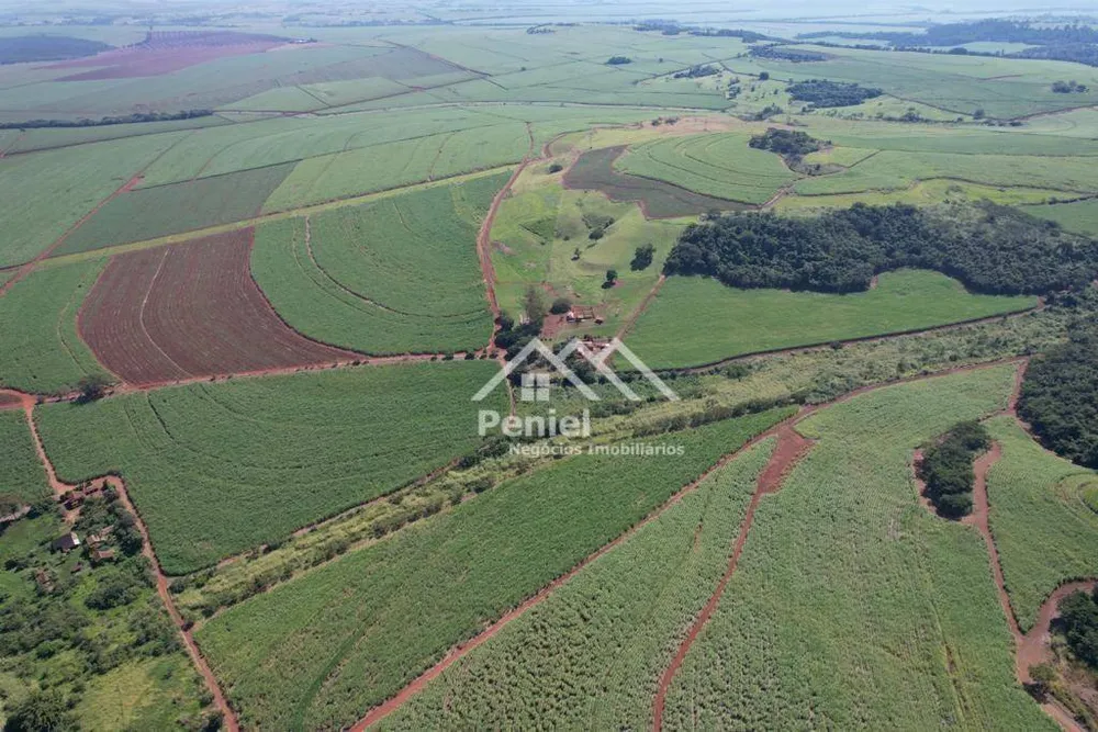 Fazenda, 213 hectares - Foto 6