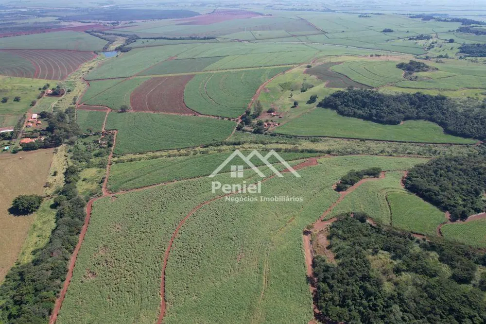 Fazenda, 213 hectares - Foto 10