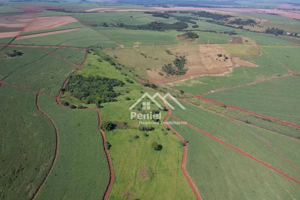 Fazenda, 213 hectares - Foto 7