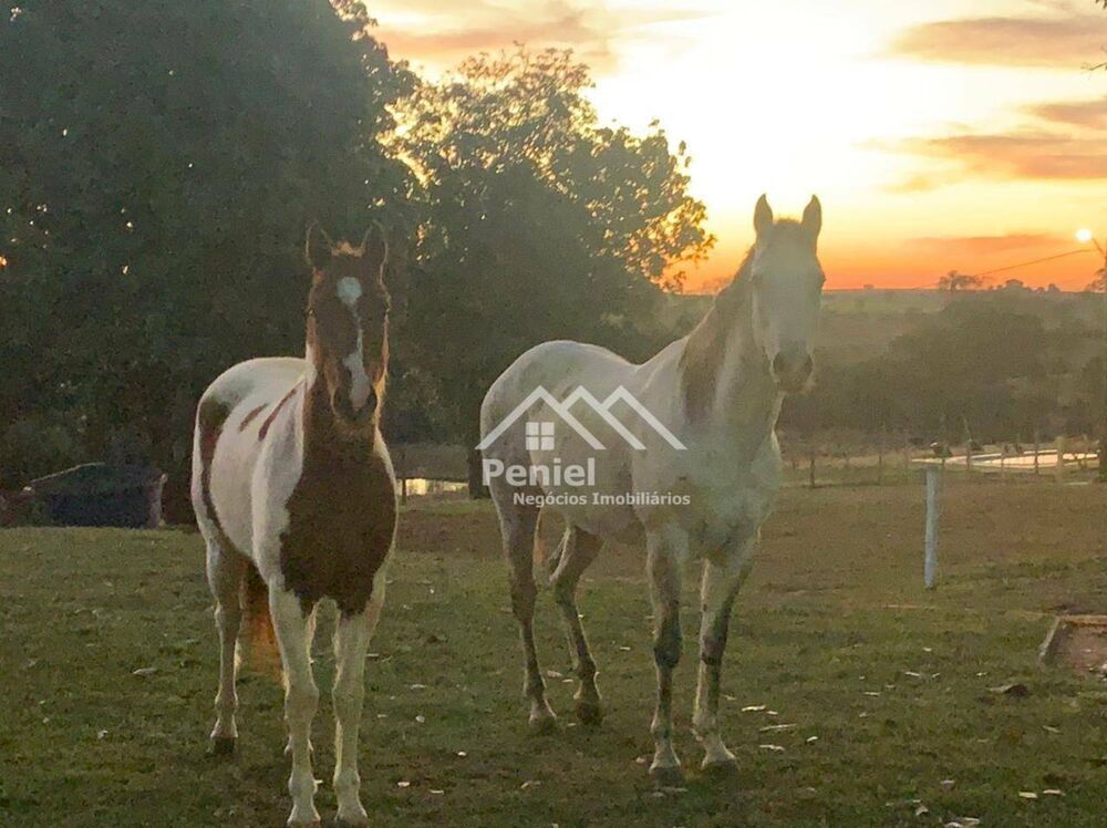 Sítio, 4 quartos, 4 hectares - Foto 2