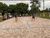 Sítio, 4 quartos, 4 hectares - Foto 4