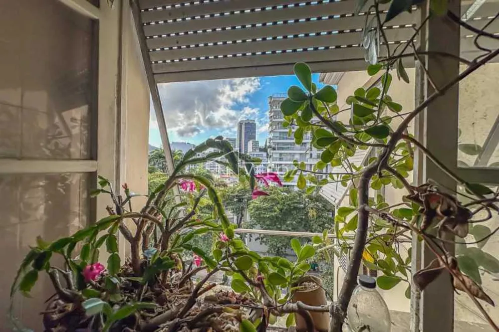 Apartamento, 4 quartos, 224 m² - Foto 1