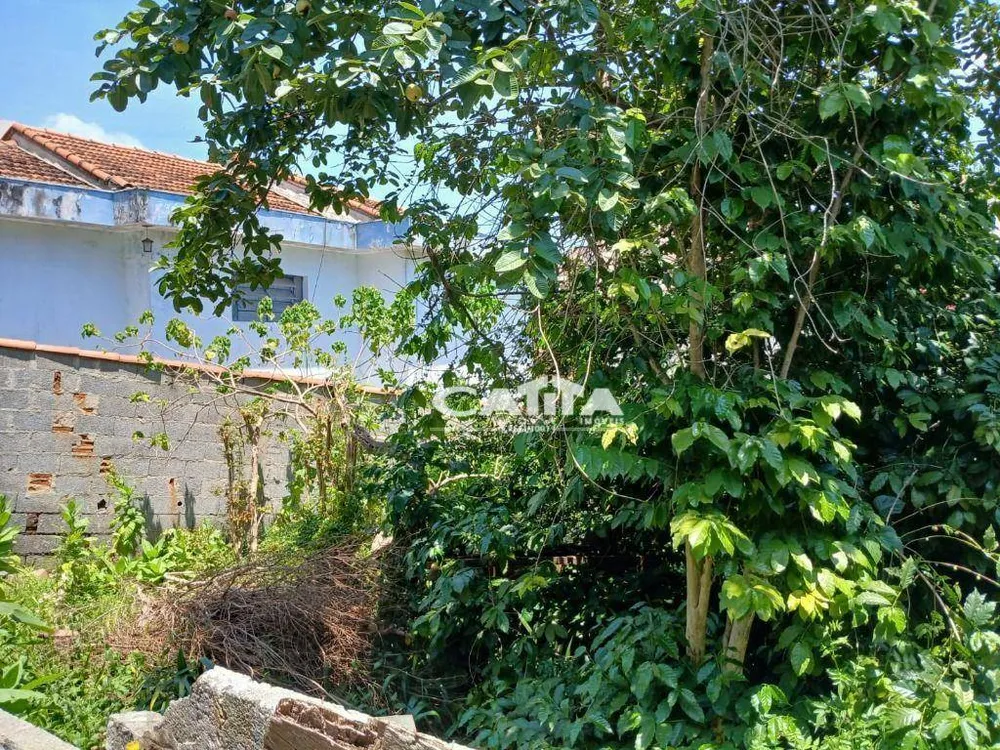 Terreno, 437 m² - Foto 6