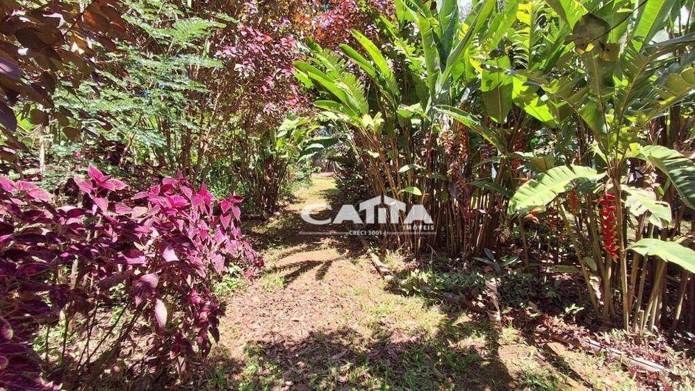 Chácara à venda com 3 quartos, 150m² - Foto 10