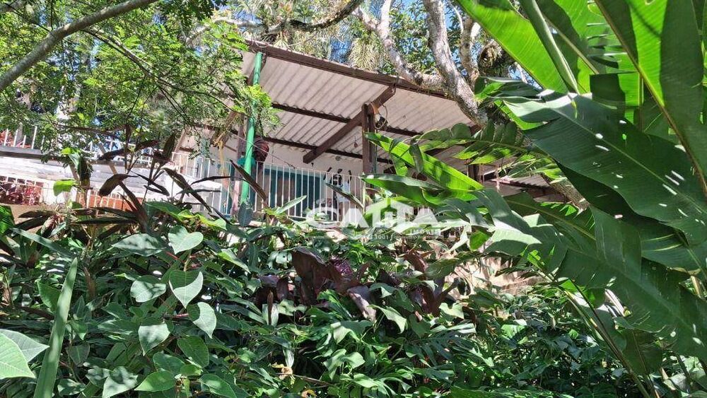 Chácara à venda com 3 quartos, 150m² - Foto 9