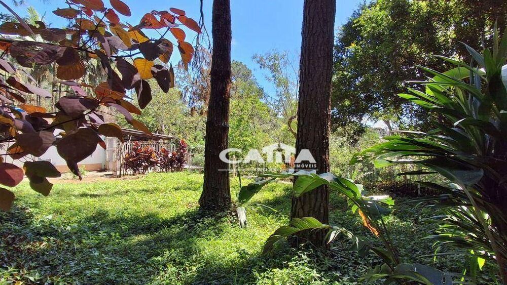 Chácara à venda com 3 quartos, 150m² - Foto 5