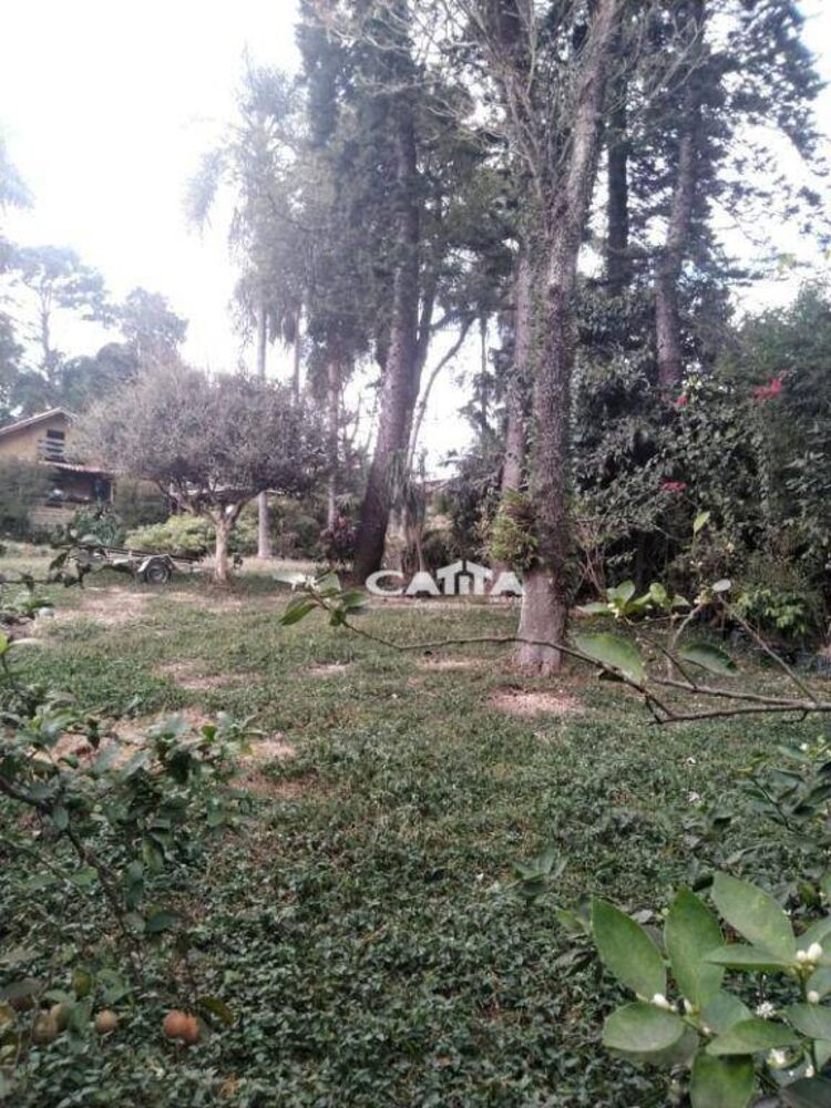 Chácara à venda e aluguel com 2 quartos, 250m² - Foto 5