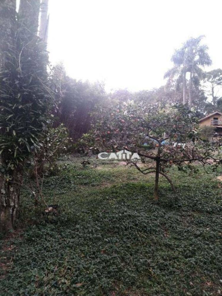 Chácara à venda e aluguel com 2 quartos, 250m² - Foto 17