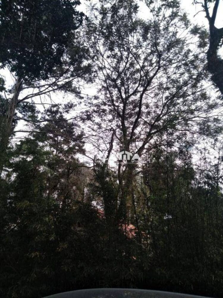Chácara à venda e aluguel com 2 quartos, 250m² - Foto 12