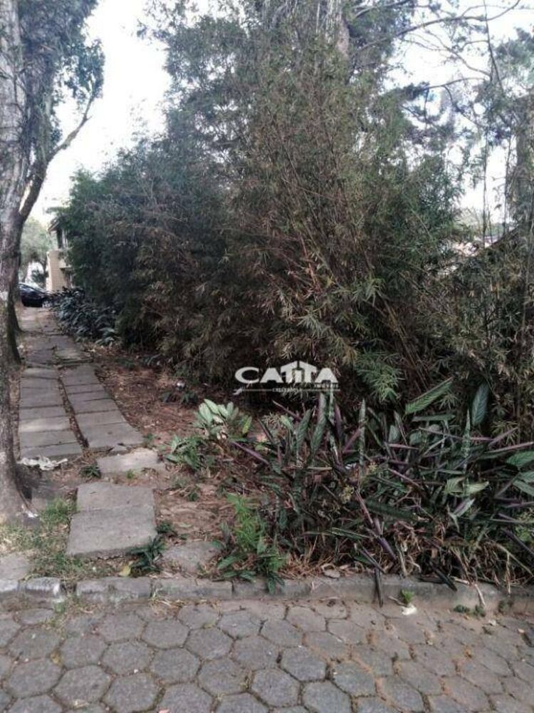 Chácara à venda e aluguel com 2 quartos, 250m² - Foto 10