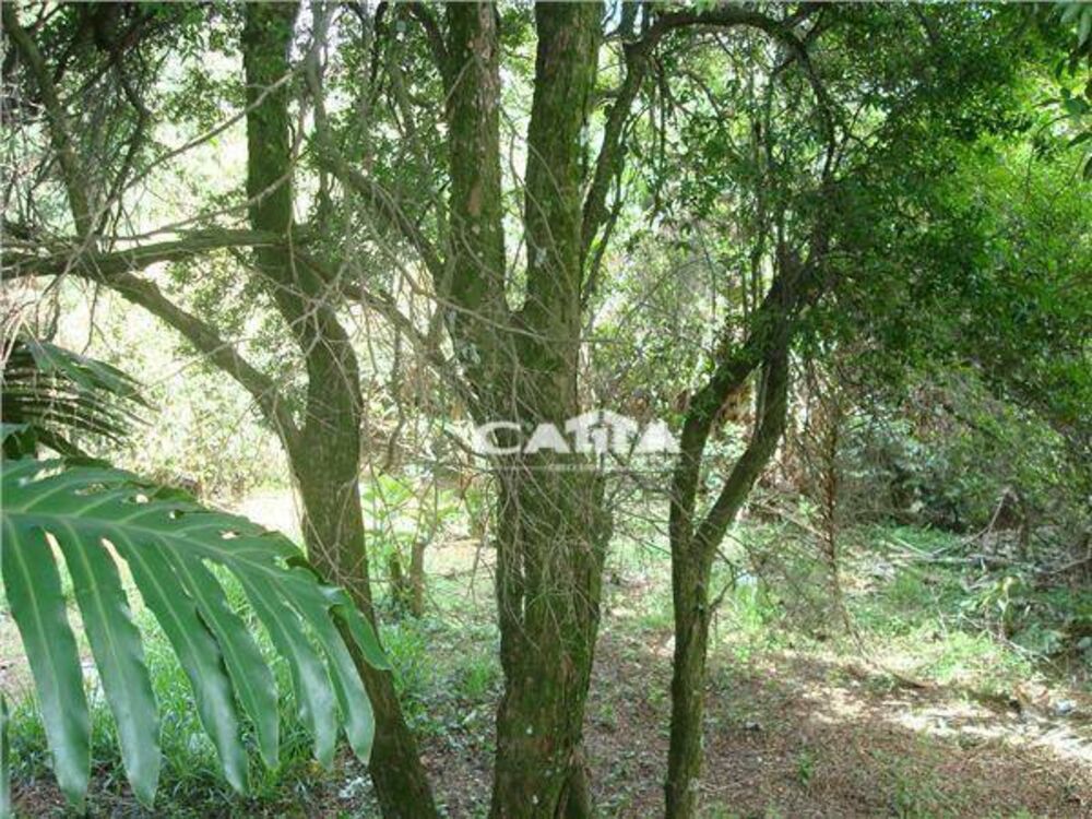 Terreno, 1086 m² - Foto 3