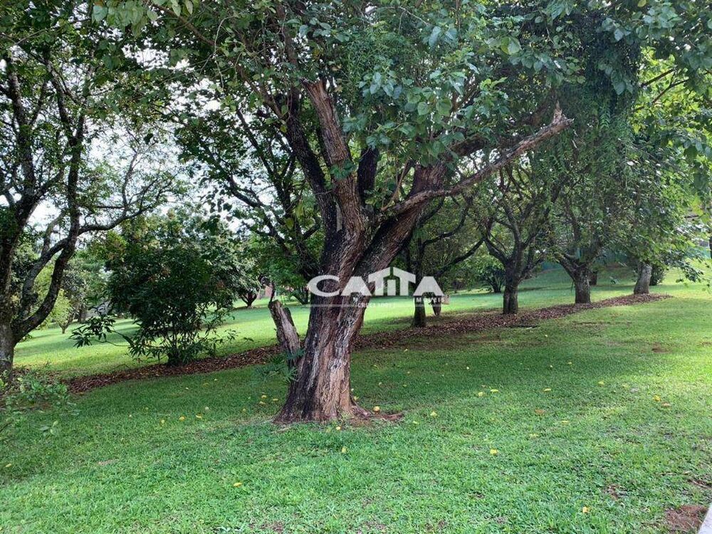 Chácara à venda com 3 quartos, 2000m² - Foto 9