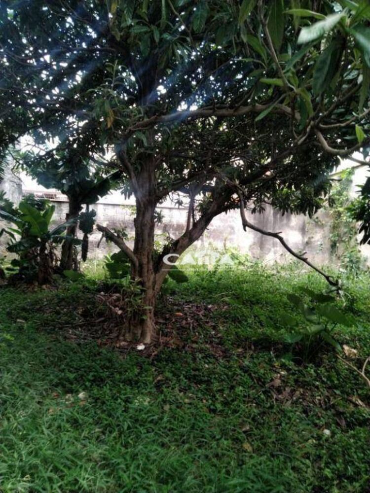 Terreno, 457 m² - Foto 6