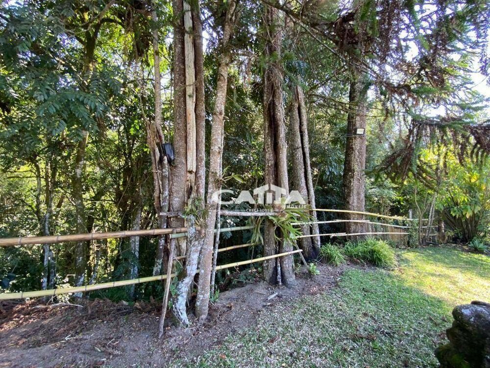 Sítio, 3 quartos, 24 hectares - Foto 2