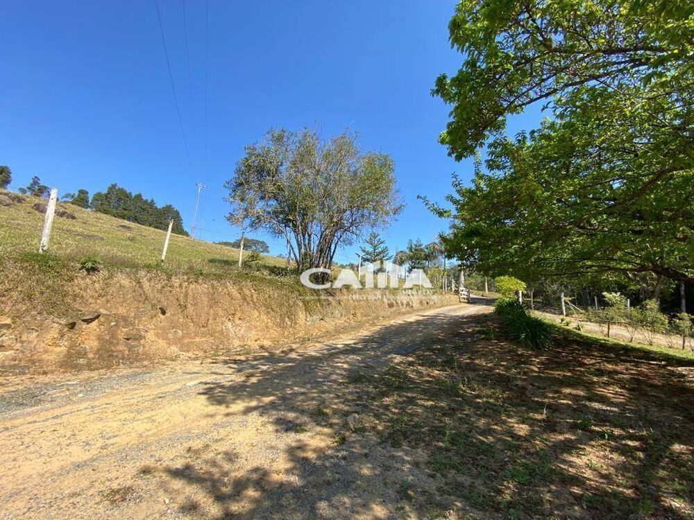 Sítio, 3 quartos, 24 hectares - Foto 4