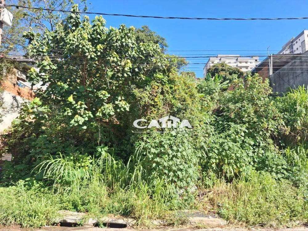 Terreno, 1983 m² - Foto 4