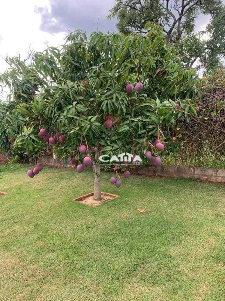 Chácara, 3 quartos, 1000 m² - Foto 11