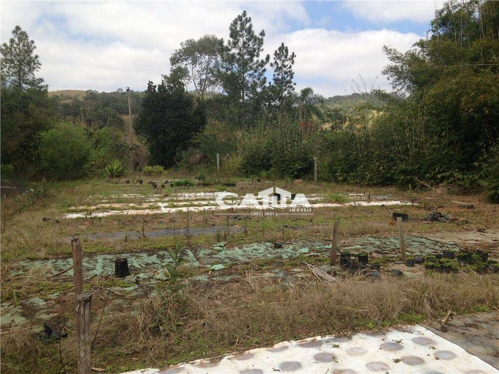 Terreno, 3 hectares - Foto 15